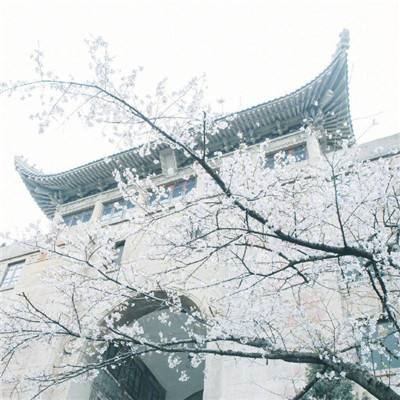 孙子兵法手游官方下载