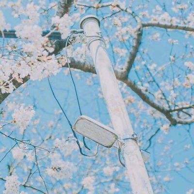 吴孟达装备回收官手游